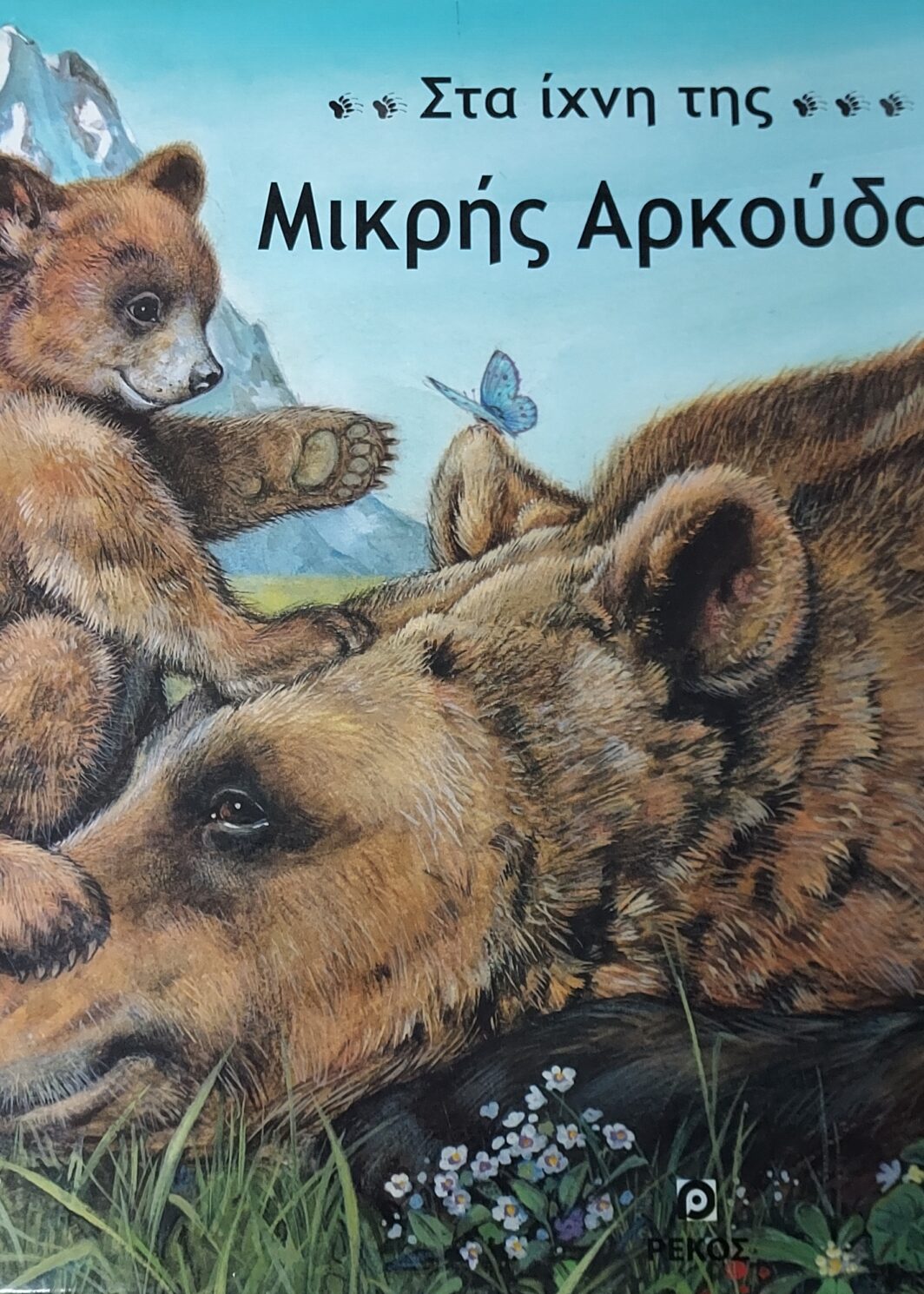 Στα ιχνη της μικρής Αρκούδας