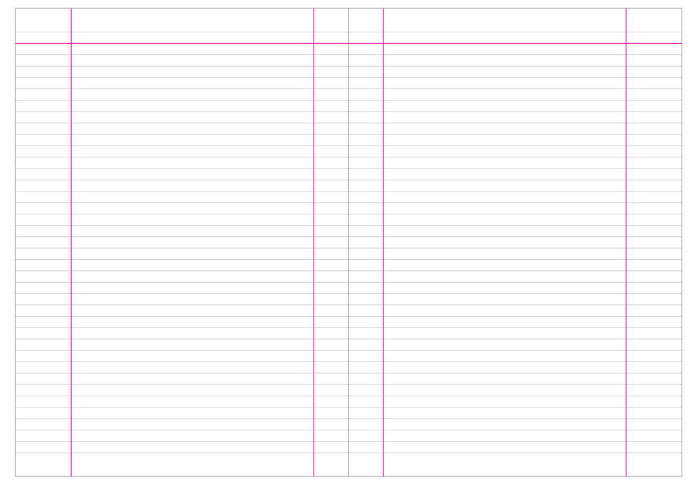 Βιβλίο Πρακτικών 21×30 100φ